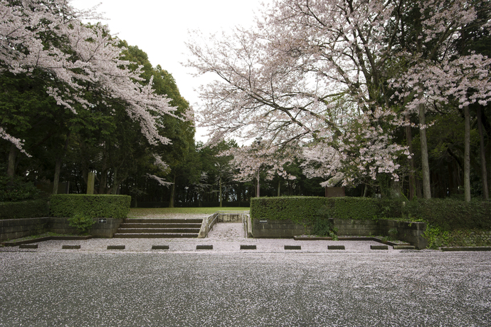 国史跡 離宮院