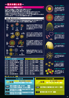 プログラム:花火の楽しみ方