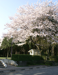 写真:離宮院公園