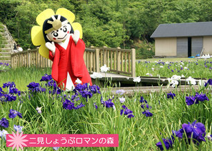 写真:二見しょうぶロマンの森