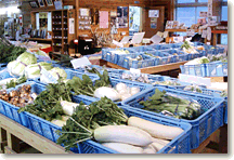 写真:野菜陳列の様子
