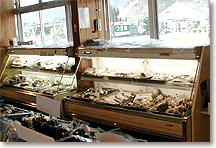 写真:鮮魚陳列棚の様子