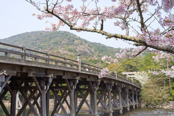 写真:宇治橋