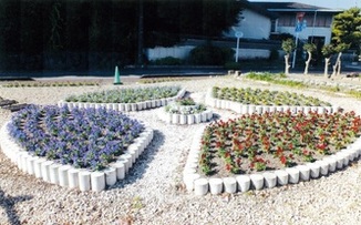 写真:平成29年度の植栽1