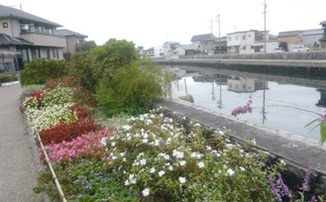 写真:平成29年度の植栽2