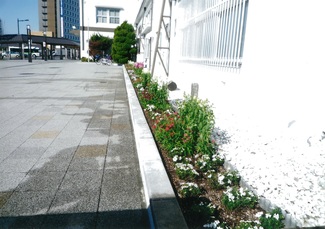 写真:平成29年度の植栽3