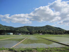 写真:風景