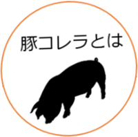 イラスト：豚