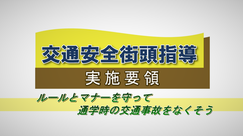 画像:「街頭指導実施要領」サムネイル画像(外部サイトリンク)(外部リンク・新しいウインドウで開きます)