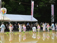 写真:会場の様子
