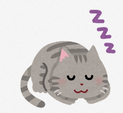 イラスト:猫