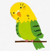 イラスト:インコ