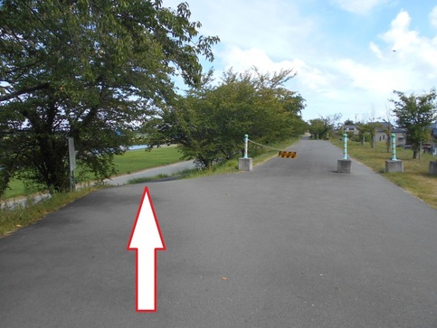 公園進入路3枚目