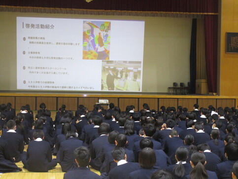 写真7