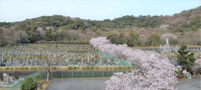 つつじ下